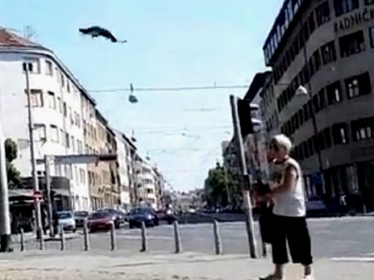 Još jedan napad vrane na ženu u Zagrebu, pogledajte snimku