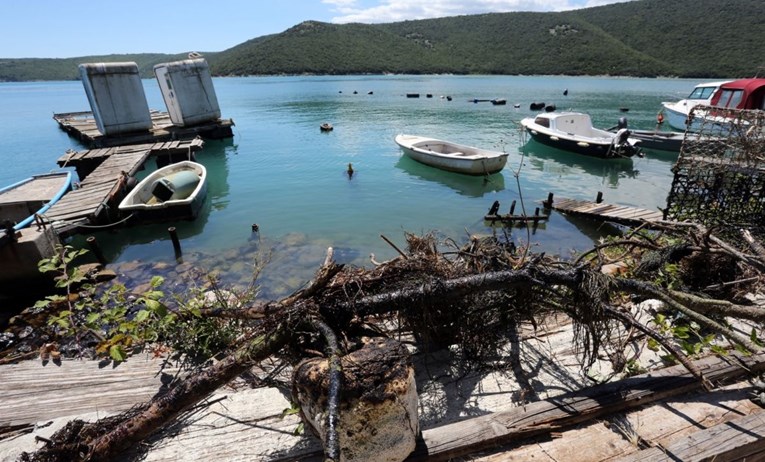 Ekološka katastrofa u Istri: U čišćenje Raškog zaljeva uključila se riječka Lučka uprava