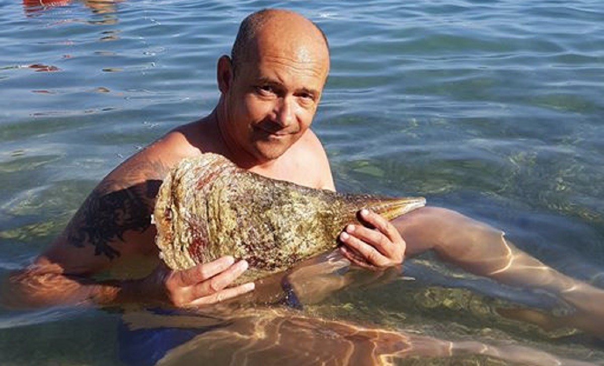 HDZ-ovac se na Fejsu hvali zaštićenom školjkom koju je zabranjeno vaditi