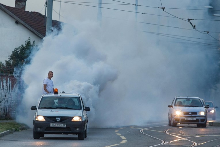 FOTO Pogledajte kako izgleda zaprašivanje komaraca u Osijeku