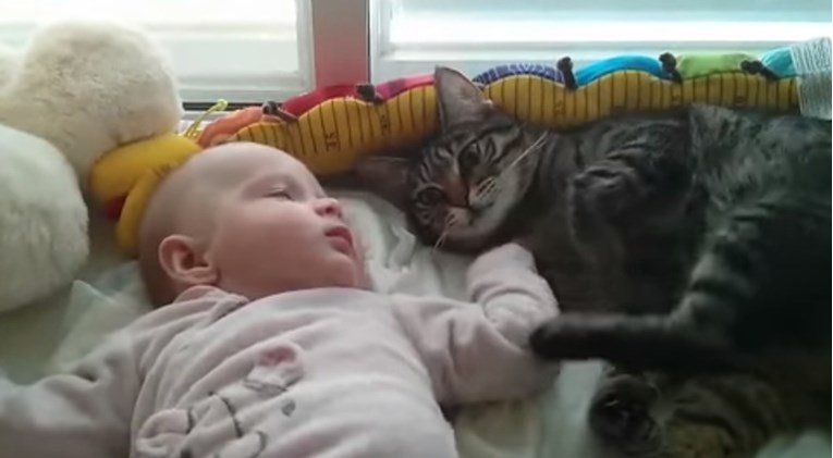 Beba je potpuno zbunila macu pa joj se dogodila smiješna nezgoda