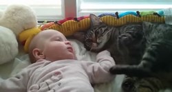 Beba je potpuno zbunila macu pa joj se dogodila smiješna nezgoda