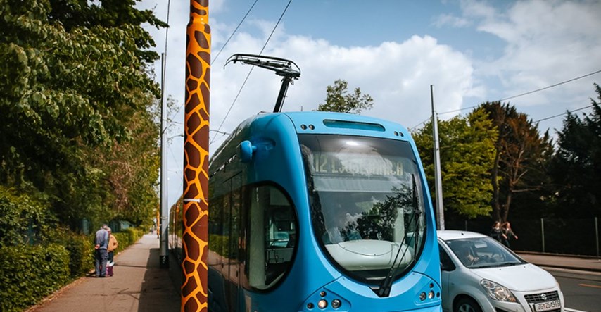 FOTO Veseli stupovi u bojama žirafe na zagrebačkom Maksimiru stigli do Bukovačke