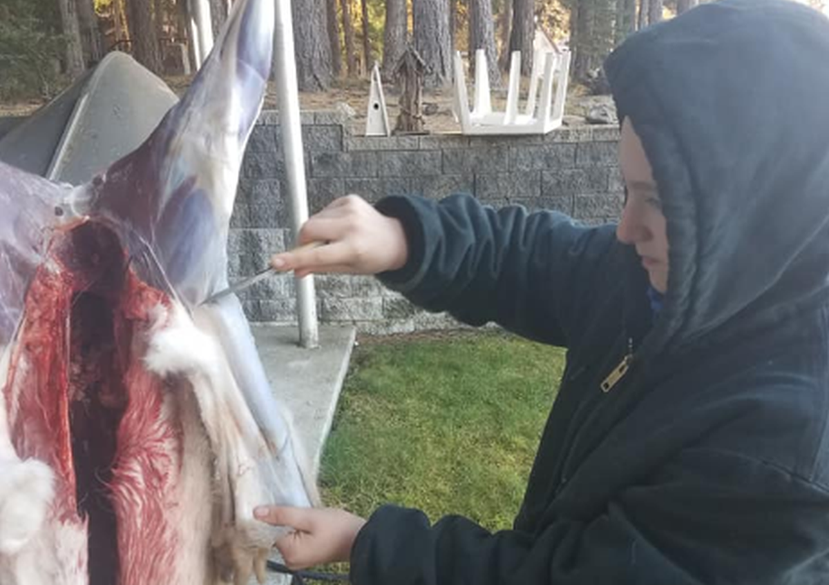 Skuplja mrtve životinje po cesti i njihovo meso poslužuje gostima