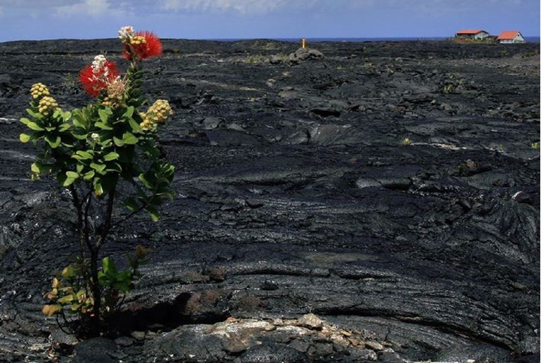 17 moćnih fotki koje pokazuju da još uvijek ima nade za Zemlju
