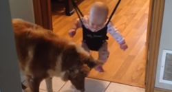 Što radi ovaj pas? Uči, brani bebu ili se samo zabavlja?