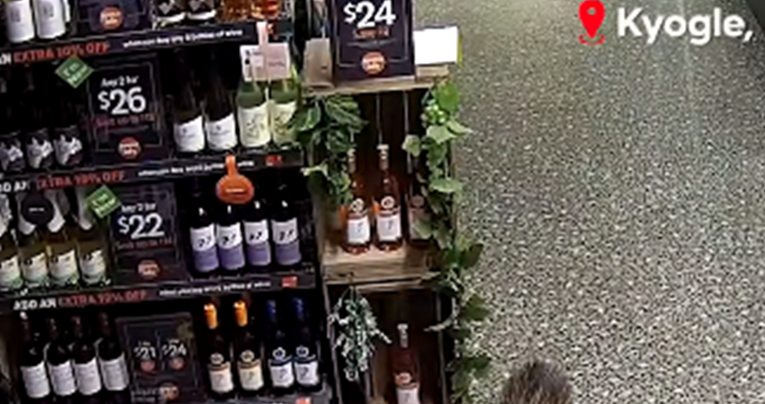 Djelatnici ostali iznenađeni kad su vidjeli tko im je provalio u trgovinu s alkoholom