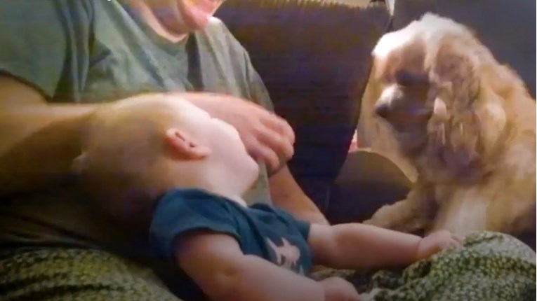 Svaka obitelj treba ljubimca, a reakcije ove bebe će vam to i dokazati