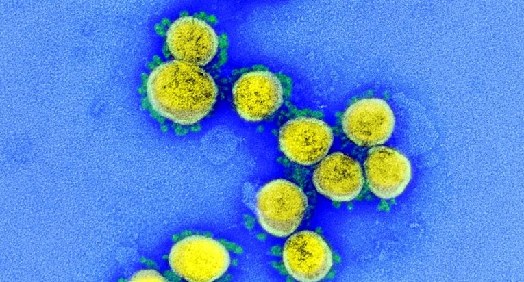Mutirani omikron se pojavio u više zemalja, teže ga je razlikovati na testovima