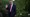 Trump povukao SAD iz WHO-a. U zemlji ima 3 milijuna zaraženih i 130.000 mrtvih