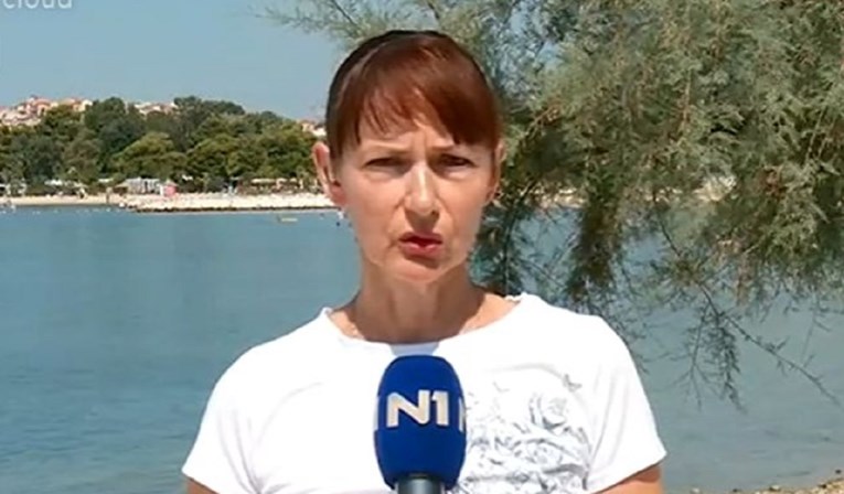 Škorina sestra traži da moćni tajnik podnese ostavku: "DP nije ničija prćija"