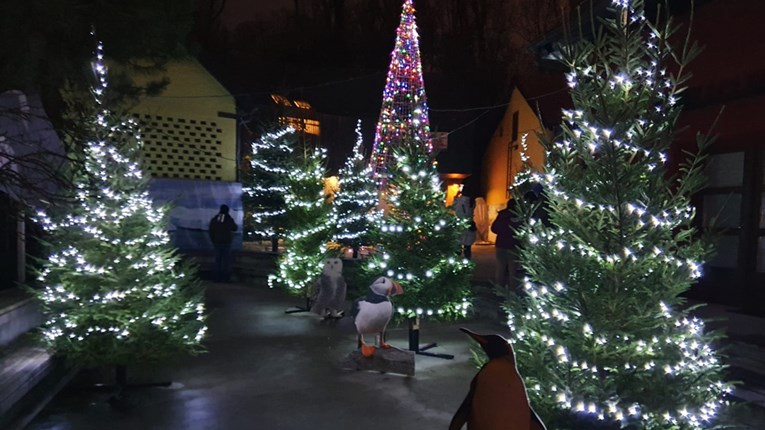 Advent u zagrebačkom Zoološkom vrtu: Slobodan ulaz djeci i zdravstvenim djelatnicima