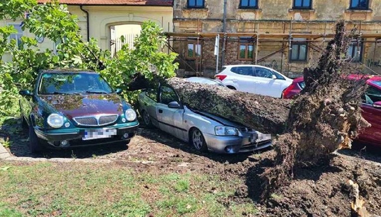 VIDEO Veliko nevrijeme na kopnu. Iščupana stabla, oštećene kuće, uništeni auti...
