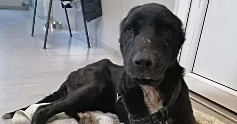 Bony se jako napatila u svoje tri godine. Jako je mršava, ima rane i prima terapiju