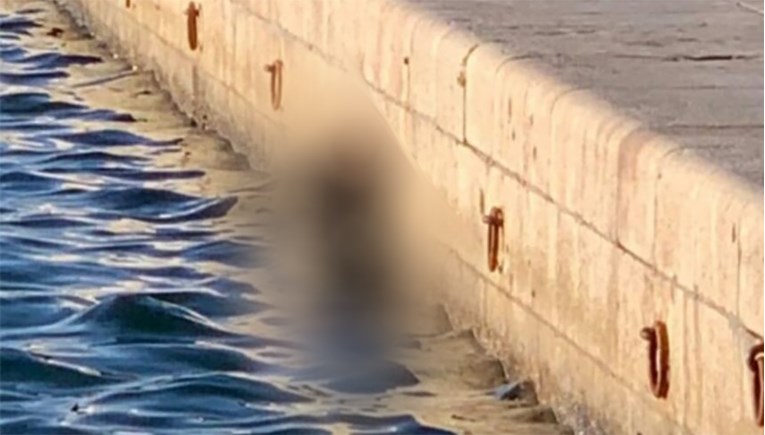 Monstrum objesio psa na vezište na splitskoj Rivi i pustio ga da ugine