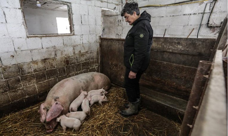 Vindija donira 16 tona stočne hrane stradalima na području Banije