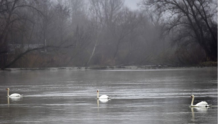 WWF: UNESCO će proglasiti prvi rezervat koji obuhvaća 5 država, među njima i Hrvatska