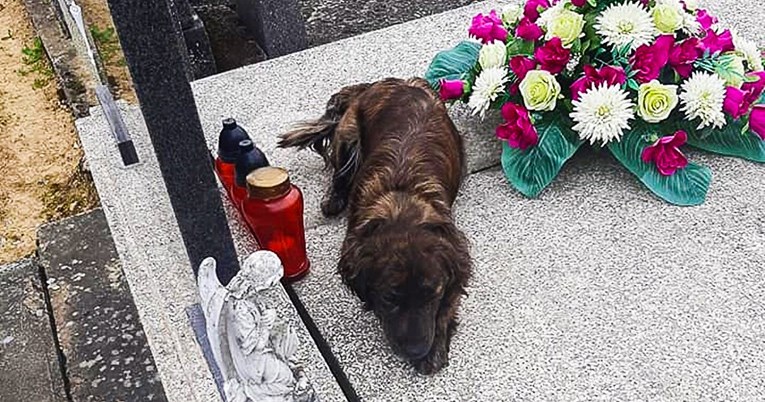 Potresan prizor snimljen u Bučju: "Spavala je na grobu i čekala..."