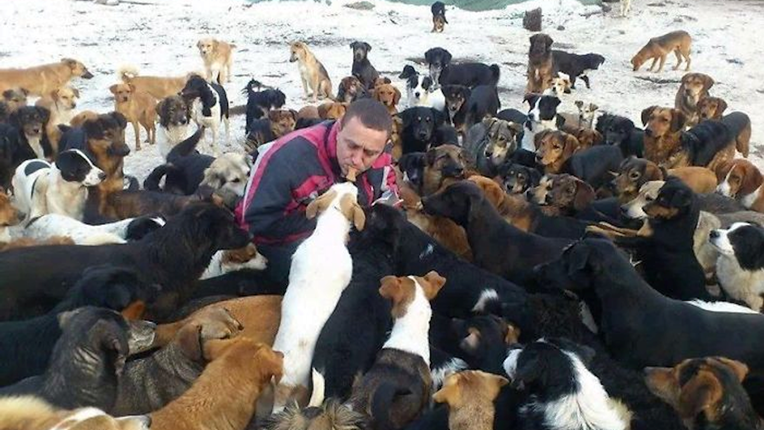 Saša iz Niša brine o 750 lutalica, on je heroj pasa koje nitko nije htio