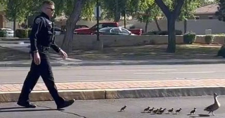 Policajac pomogao mami patki i njezinim bebama sigurno prijeći prometnu cestu