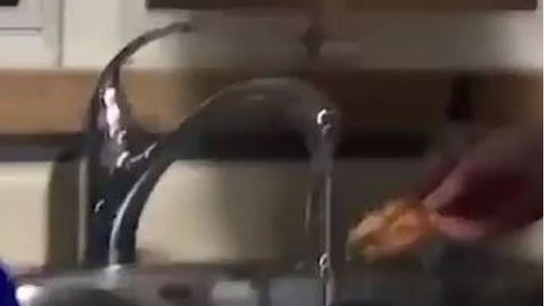 Zbog načina na koji jede pizzu, ljudi na internetu prijete da će mu pozvati policiju