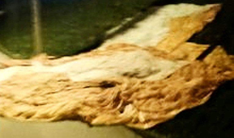 2d1776ad-3d6f-42e8-ab66-f159f033802e.jpg