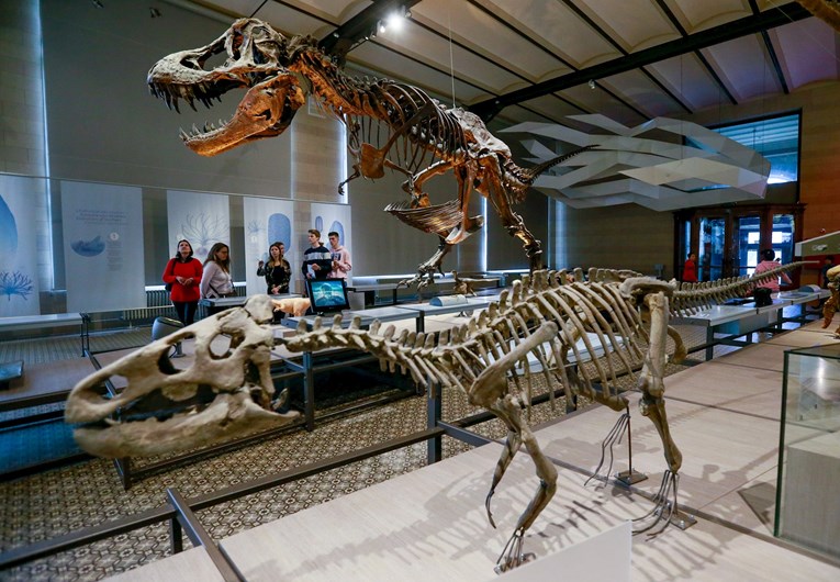 Asteroid koji je ubio dinosaure u Zemlju je udario u proljeće