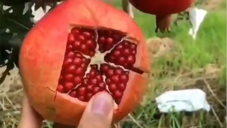 Čitav život krivo čistite šipak, uštedite si vrijeme (i živce) uz ovaj trik