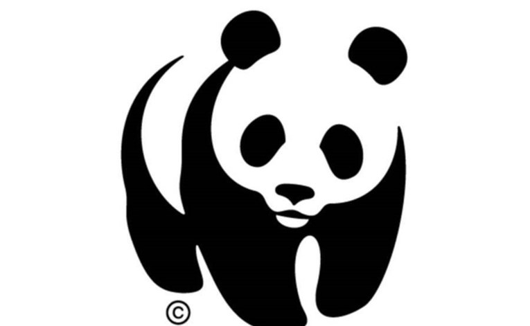 WWF optužen da je surađivao s čuvarima koji su ubijali i tukli ljude