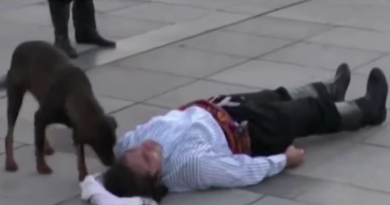 Pas lutalica prekinuo predstavu da utješi glumca koji se pravio da je ozlijeđen