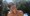 Nasmijana Elizabeth Hurley srušila je Instagram utegnutim tijelom