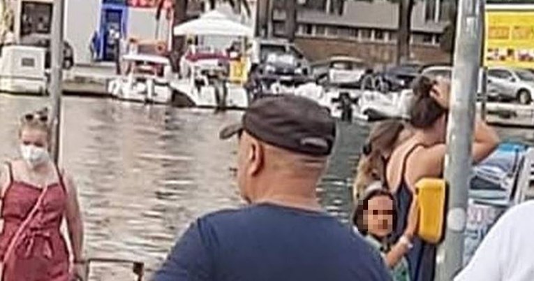 Prizor ispred pješačkog prijelaza u Zadru mnoge nasmijao: "Stopio se sa zebrom"