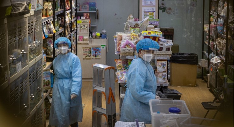 U Hong Kongu će zbog korone ubiti stotine hrčaka