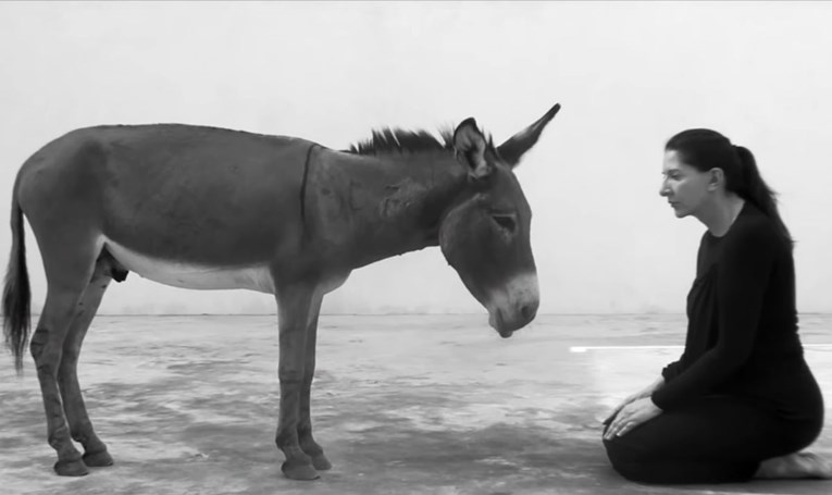 Vlada Srbije dala 100.000 dolara da bi Marina Abramović buljila u magarca