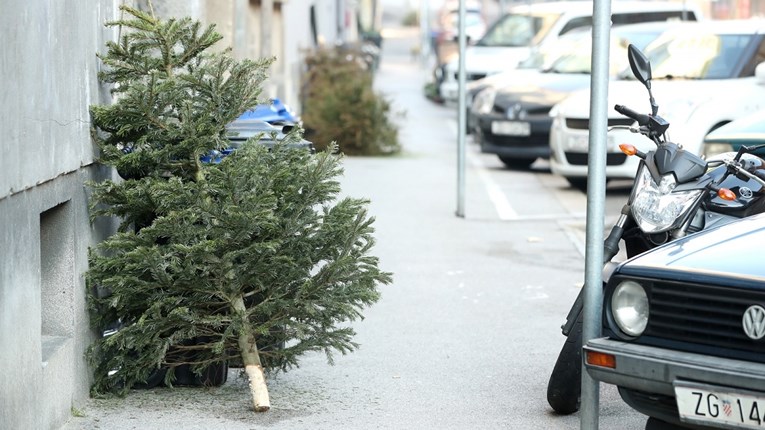 Danas planirate raskititi bor? Moglo bi vas iznenaditi dokad traje božićno vrijeme