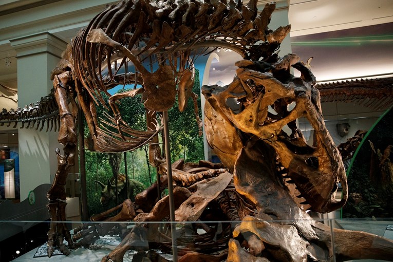 Još jedno uobičajeno vjerovanje o dinosaurima ipak nije točno