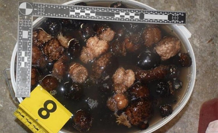 Muškarac u Obrovcu u autu imao 148 kila trpova, uhićen je