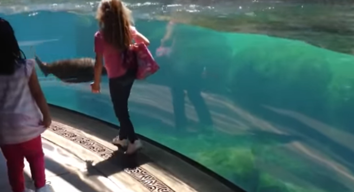 muškarac izbacuj ribeupoznavanje ženskih marinaca