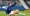 James zbog bizarne ozljede propušta sljedeću Evertonovu utakmicu