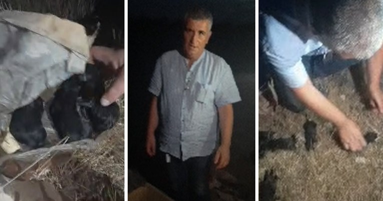 VIDEO Bulj spasio psiće: Ovo je za proplakat', netko ih je bacio u kontejner