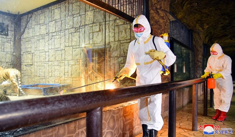 Sjeverna Koreja tvrdi da su slučajevi "groznice" i dalje ispod 200.000