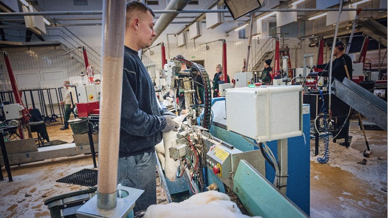 Zbog korone upitna budućnost industrije krzna