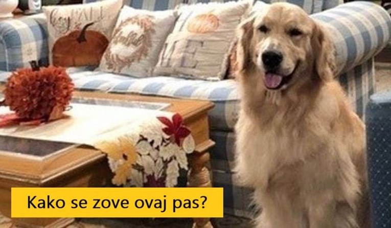 KVIZ Možete li imenovati sve ove poznate pse iz filmova, serija i crtića?