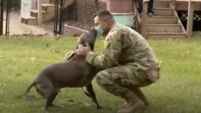 Pas imao dirljivu reakciju kad mu se vlasnik vratio s vojne dužnosti: "Zaplakao sam"