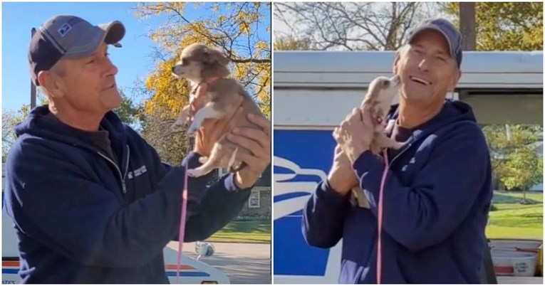 VIDEO Petomjesečna čivava svaki dan dočekuje svog omiljenog poštara