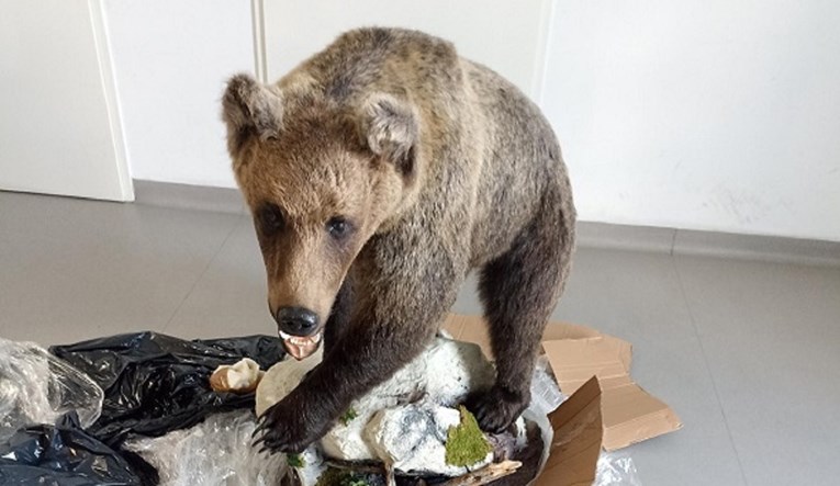 FOTO Na granici kod Slavonskog Broda kod putnika u autu pronađen preparirani medvjed