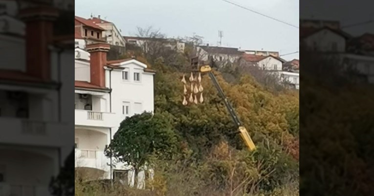 Fotka sušenja pršuta nasmijala Fejs: Ovo se viđa samo u Dalmaciji