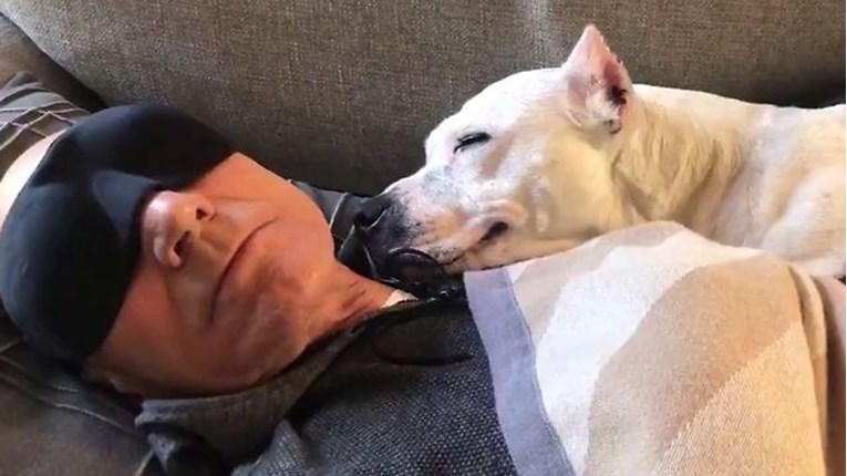 Sir Patrick Stewart je još jednom psu omogućio priliku za sreću