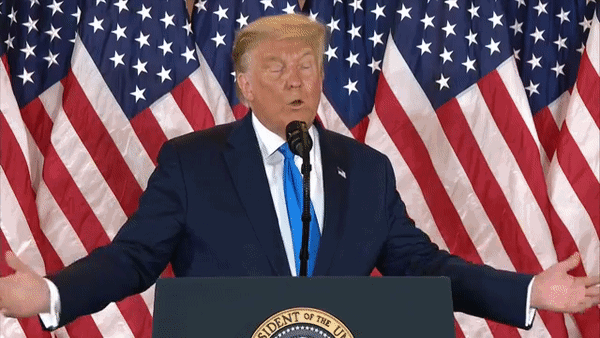 Trump: Pobijedili smo, ovo je prevara i sramota za našu zemlju. Idemo na Vrhovni sud