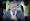 Evo što je Wenger rekao o mogućem dolasku na klupu Milana